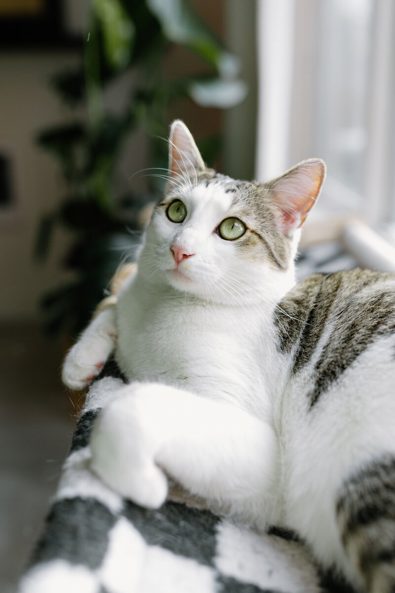 luckylady_2025-KAYLAESPARZAPHOTOGRAPHY-29