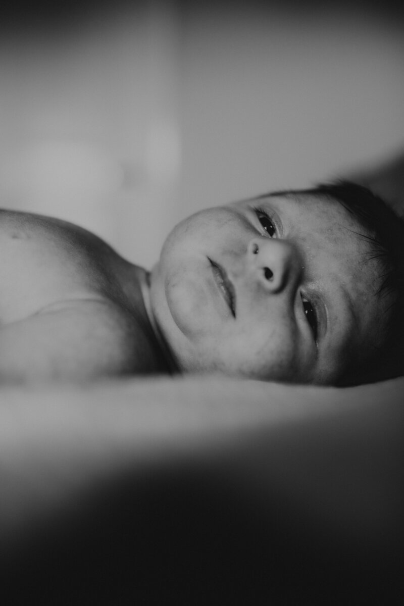 rex newborn8