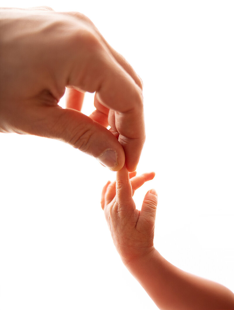 Father and newborn son hands, backlit, newborn photographer, white background, baby fingers, pregnancy, birth