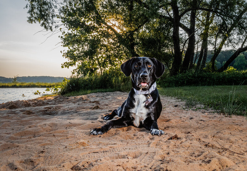 1C2A9303-Edit