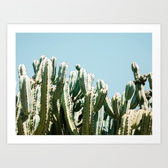 tall-cacti-cactus-photo-print-colourful-travel-wanderlust-photography-art2069211-prints