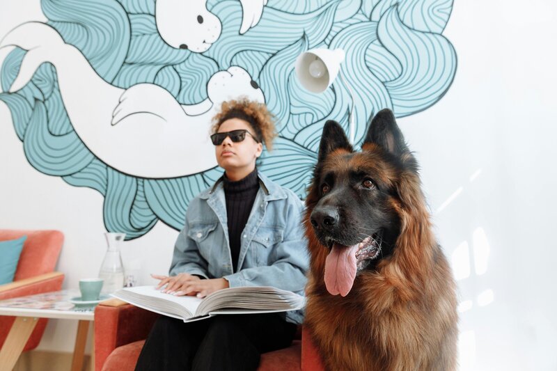 A woman wearing sunglasses reads a Braille book beside a large guide dog sitting in front of her.