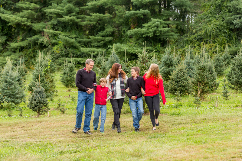 outdoor tree farm mini sessions boston area