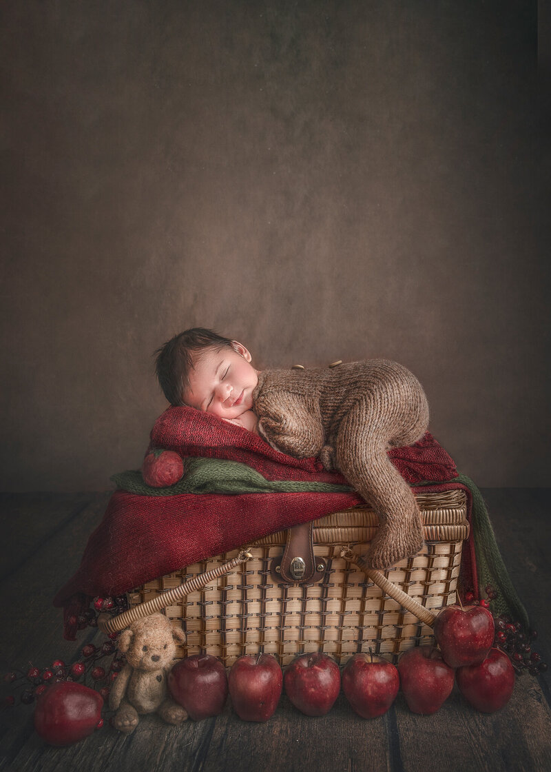 "Sleeping newborn peacefully resting in a cozy basket surrounded by apple-themed props, captured in a charming and creative fine art photography session in Ottawa."