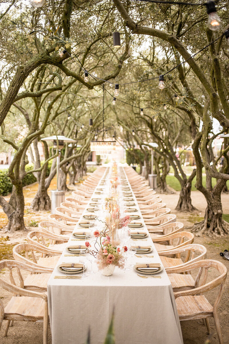 Tree Lined Outdoor Reception Banquet | Nicole Chapman Design