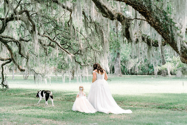 charleston weddings magnolia plantation sarah beach photography _DSC0727