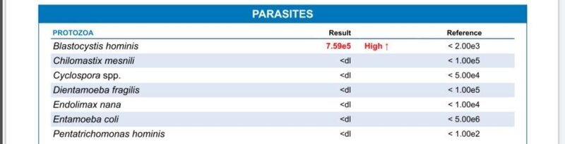 GI Map of HubHealthy patient showing a parasite.