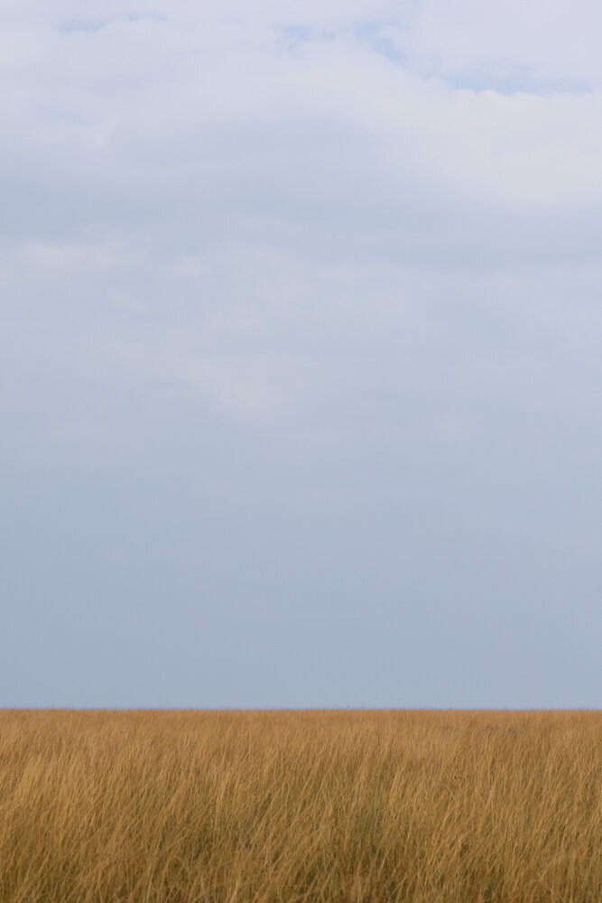 safariedited-076