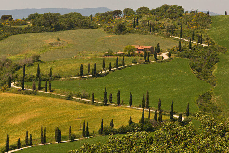 Tuscany Landscape 3