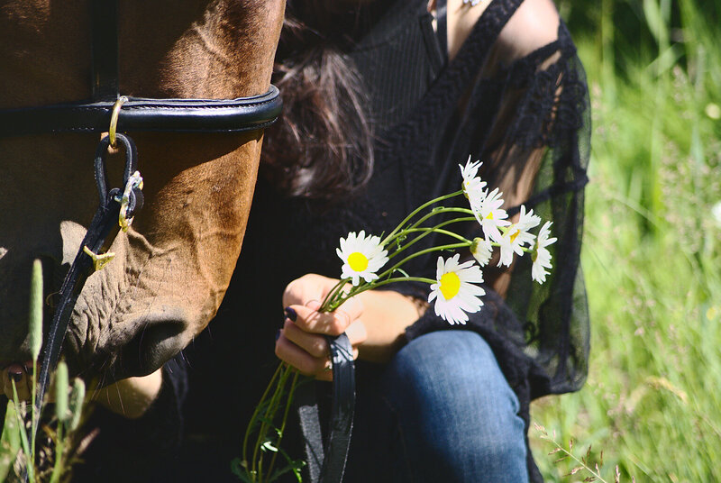 Woman holding a bouquet of daisies beside horse, connecting on a soul level. 