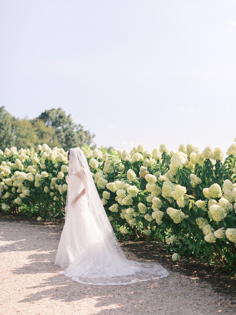 Pippin Hill Wedding Charlottesville Virginia Photographer_01