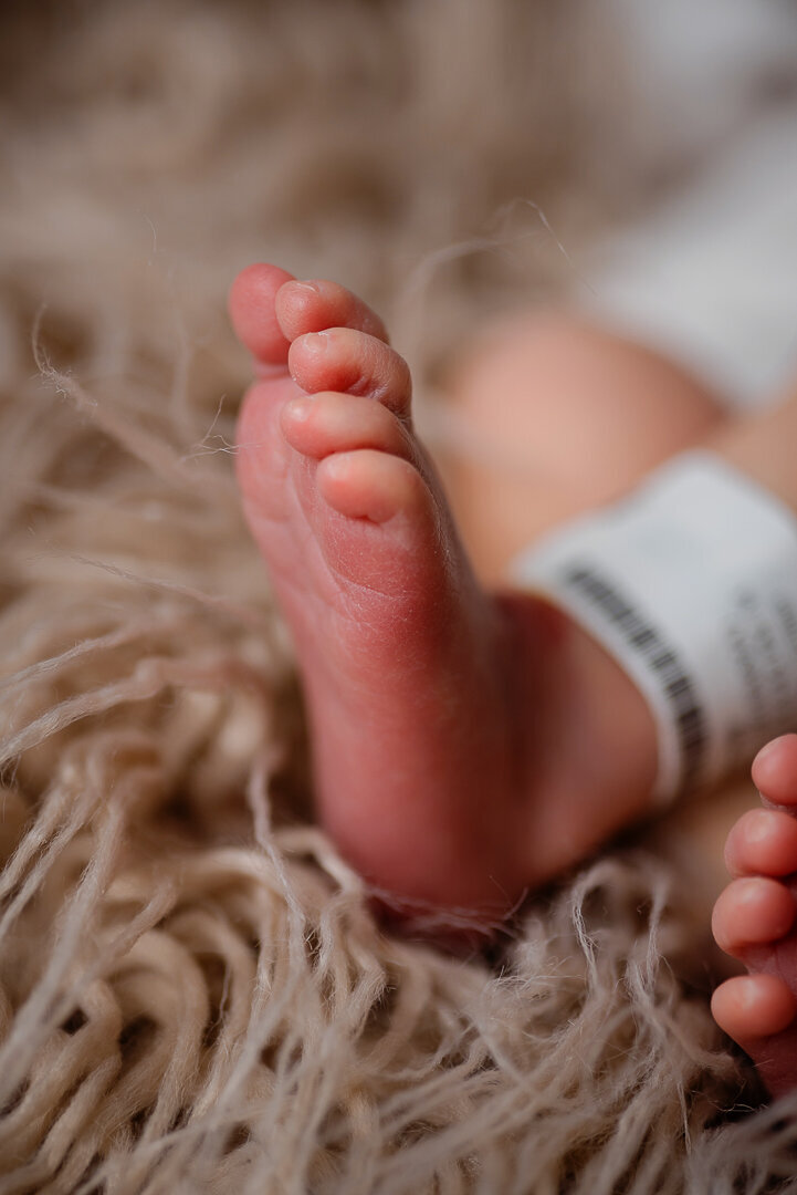 Modern hospital newborn photographer
