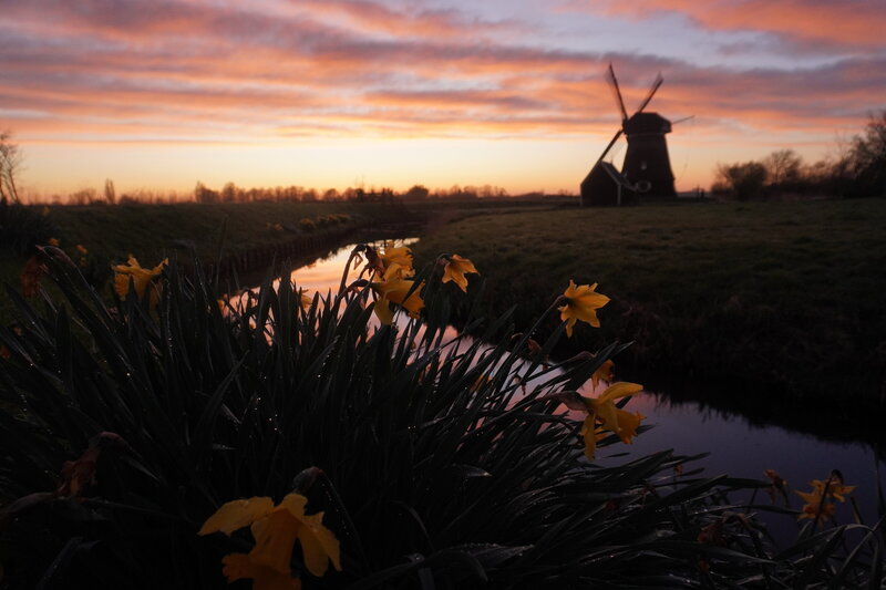 fotografie cursus workshop alkmaar leren fotograferen