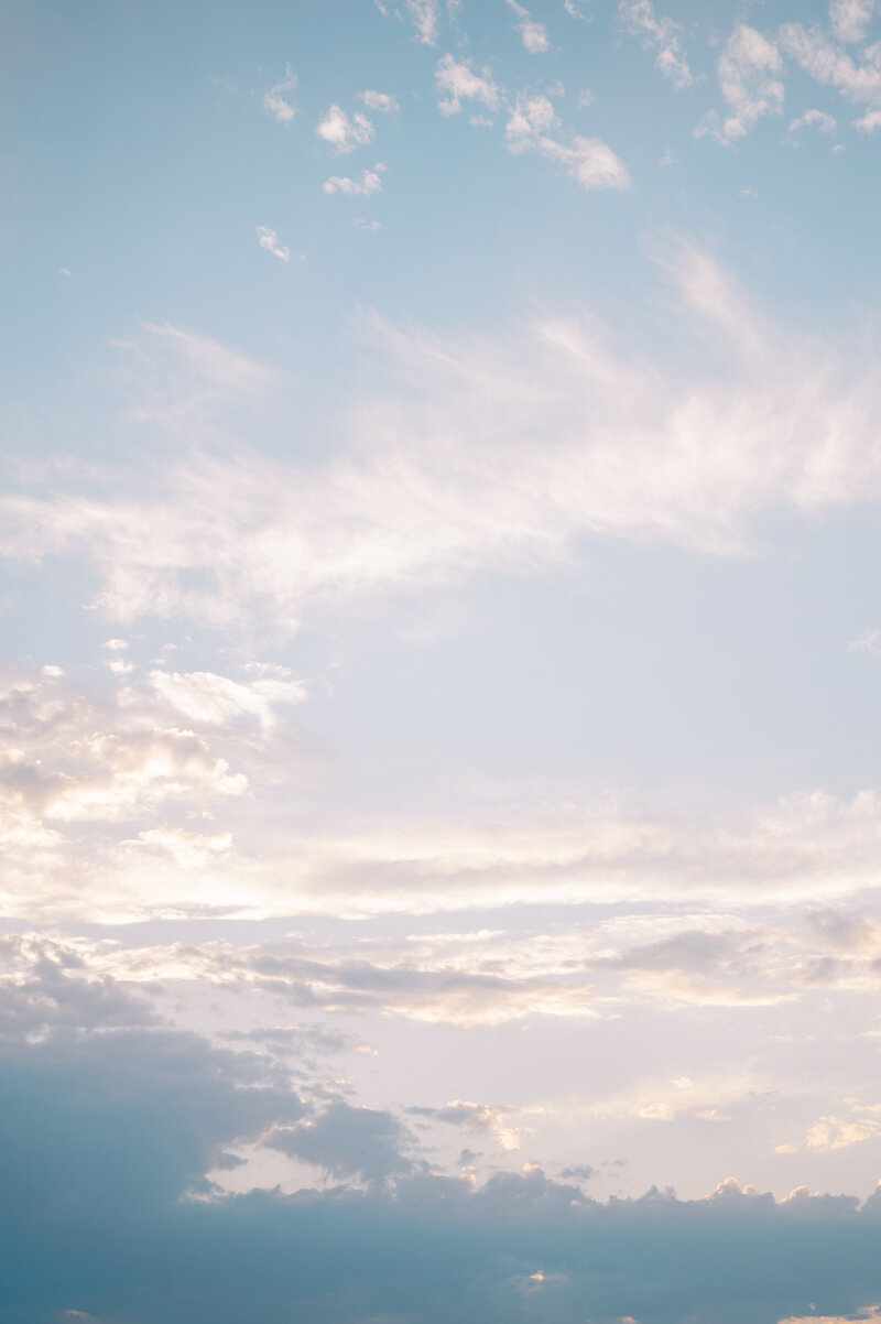 Nathanael Tenney Photography -Borchert-257