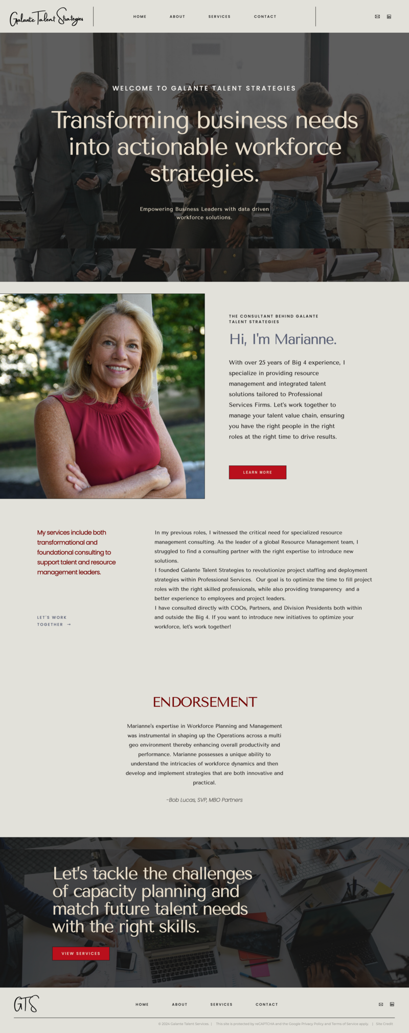 Showit web design for consultant