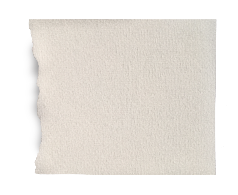 white ripped paper