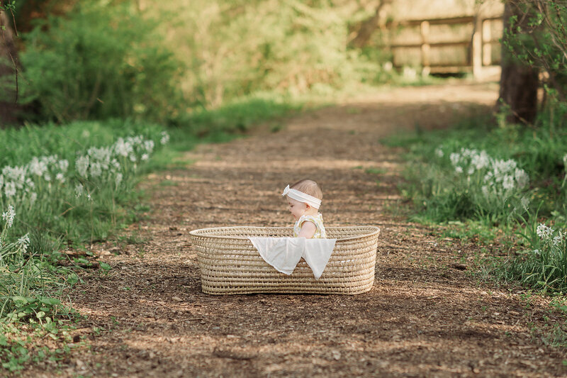 Milestone baby session with baby sitting in a basket on wooded trail – Harrisburg, PA family photography