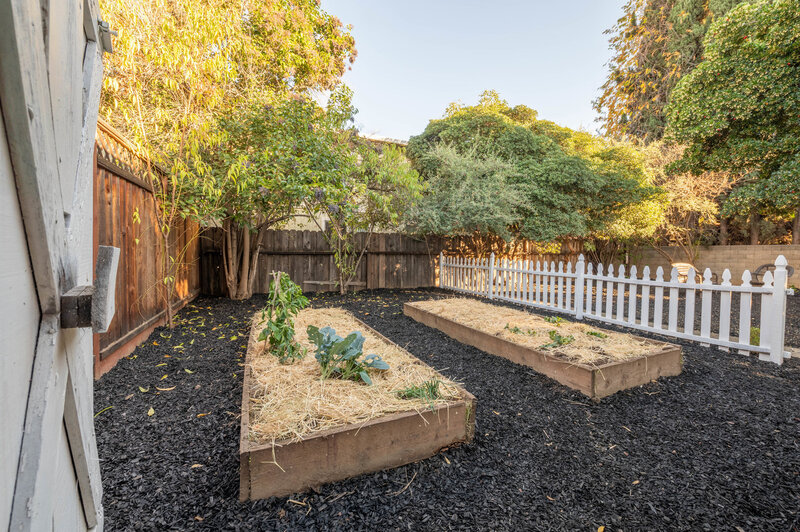 038_Vegetable Garden