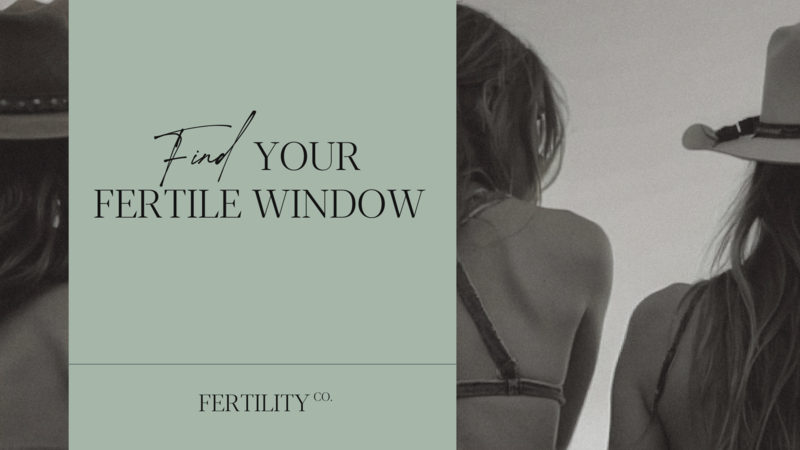 Find Your Fertile Window - Free Fertility Course - Cycle Charting, Conceive Naturally | Fertility co.