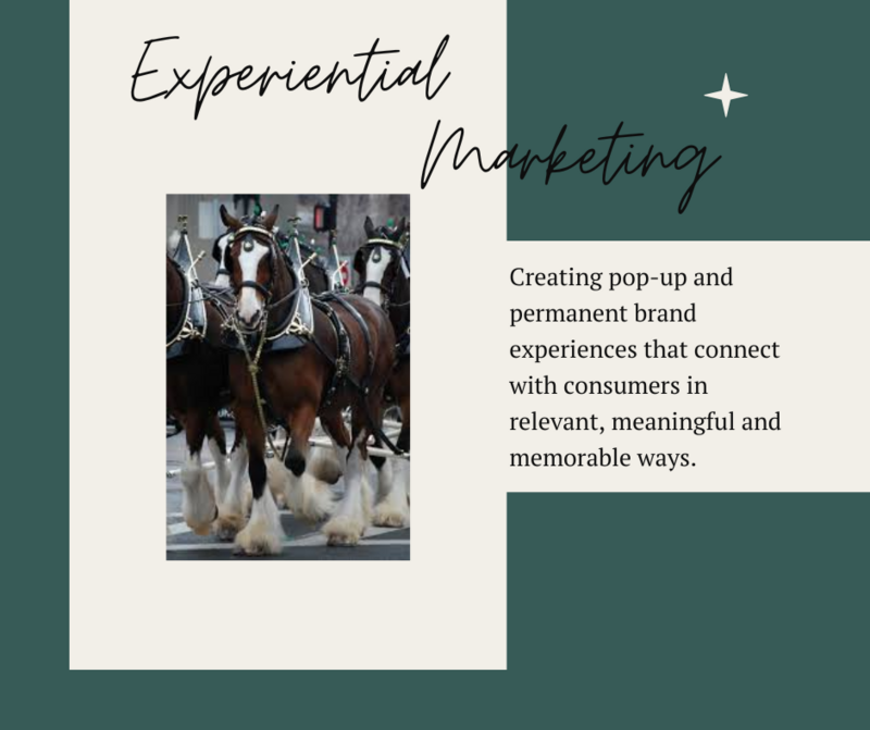 EXPERIENTIAL MARKETING