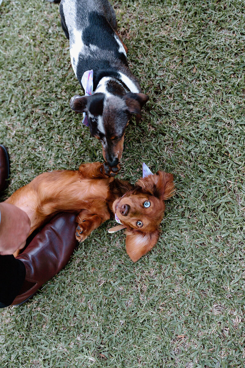 Kelsie and Kannon - Sneak Peek - Sweet Valencia Photography-28