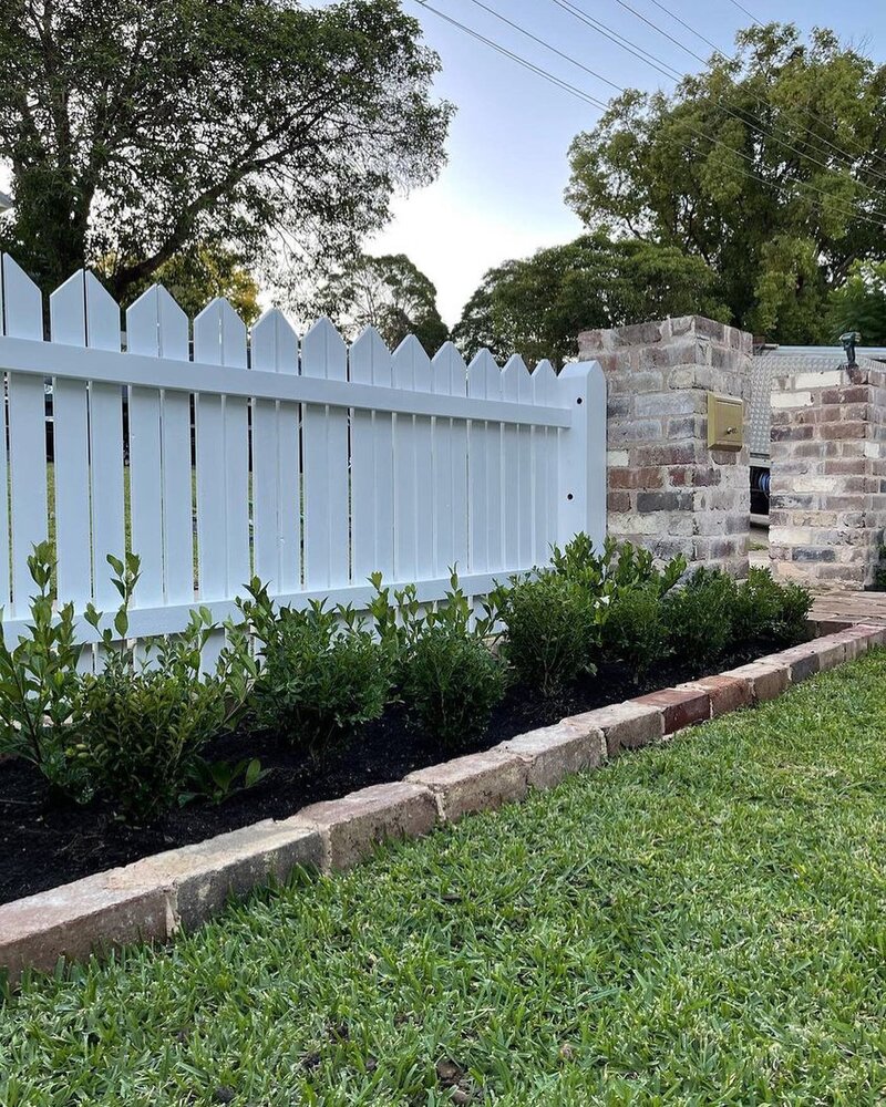 Go Green Nurseries -  Japanese Buxus