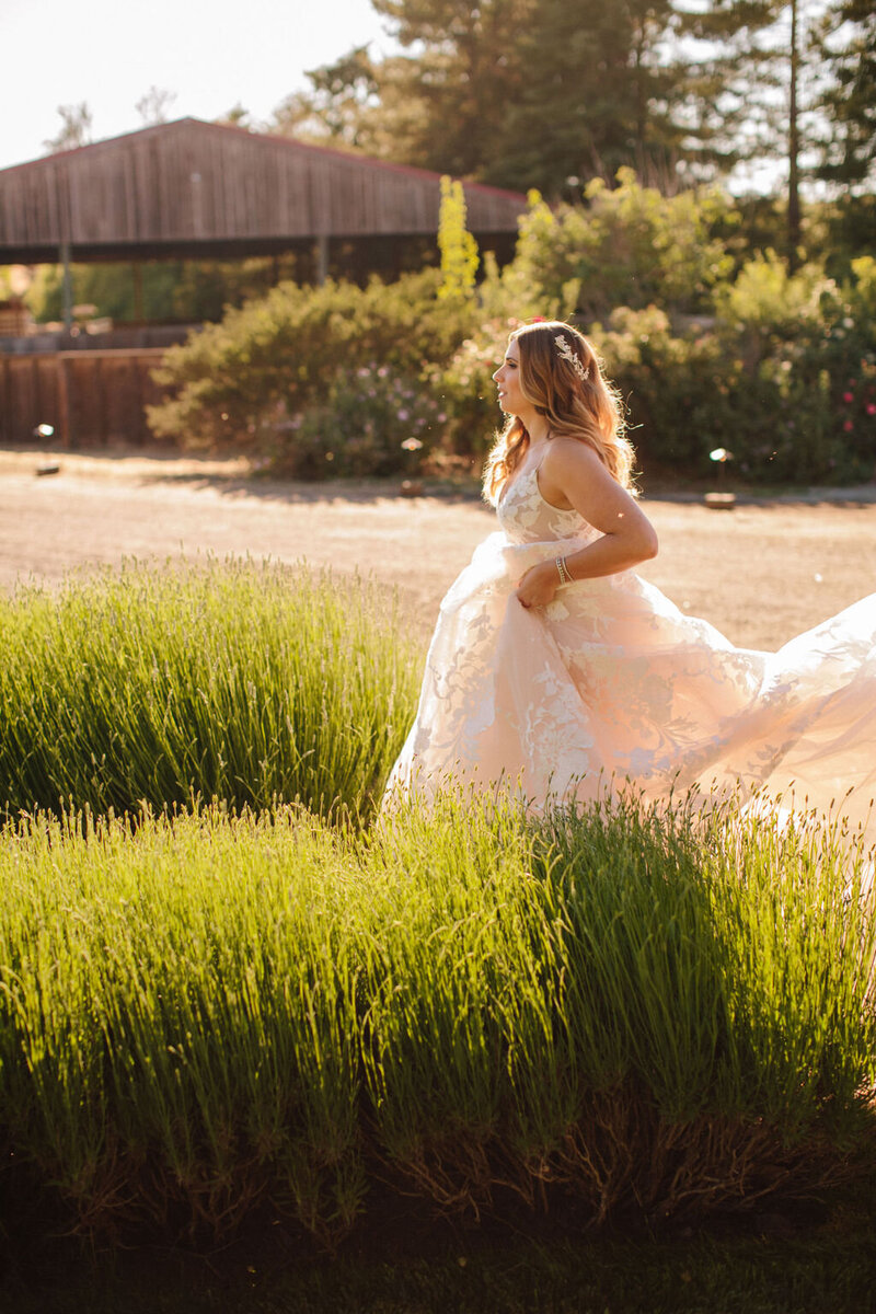 Petaluma Wedding Venue - Olympias Valley - NickJeanette004