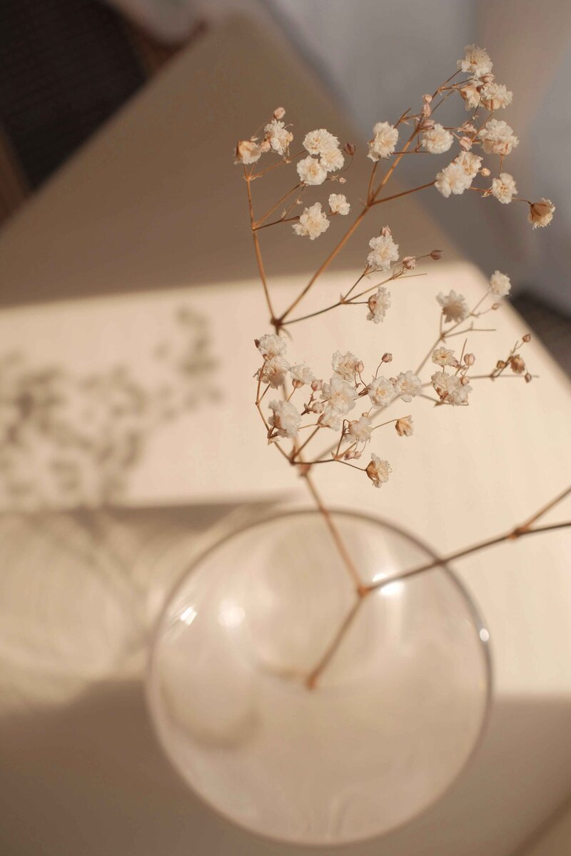 Flowers in vase