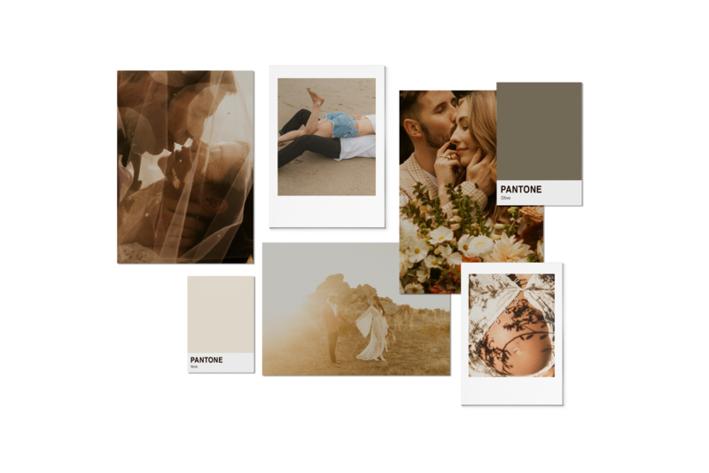 branding and website design