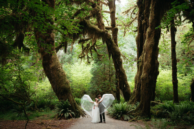 Elopement Photo Ideas | Bride tosses her veil while groom holds her from behind standing in a beautiful rainforest