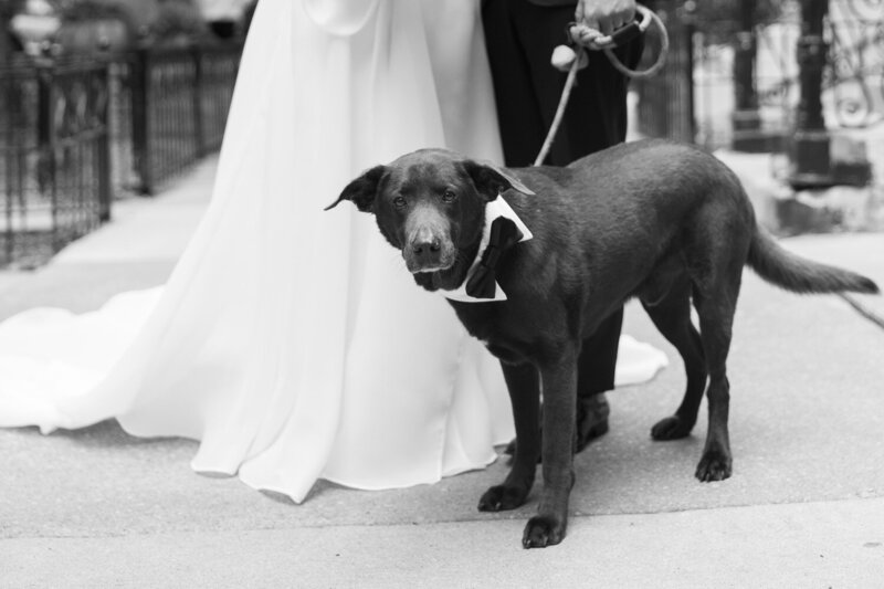 Cafe Brauer Wedding Photography 149