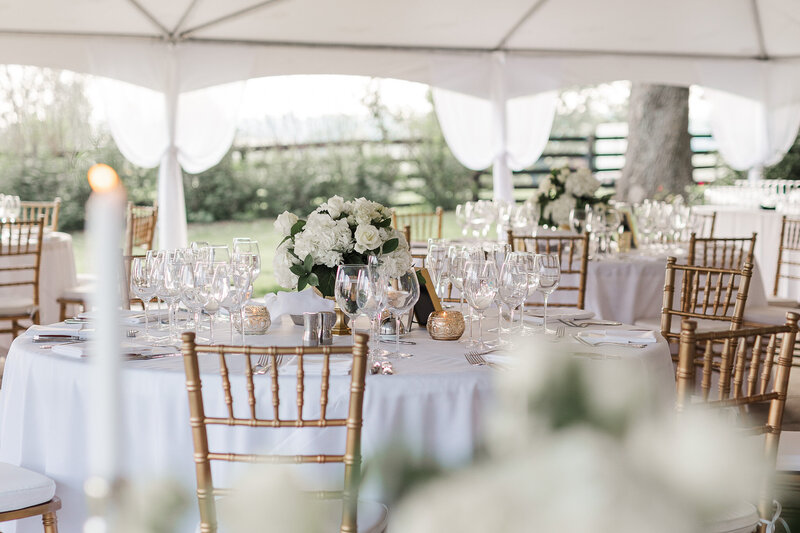 Hermitage Farm Wedding - Christopher and Caitlin-64