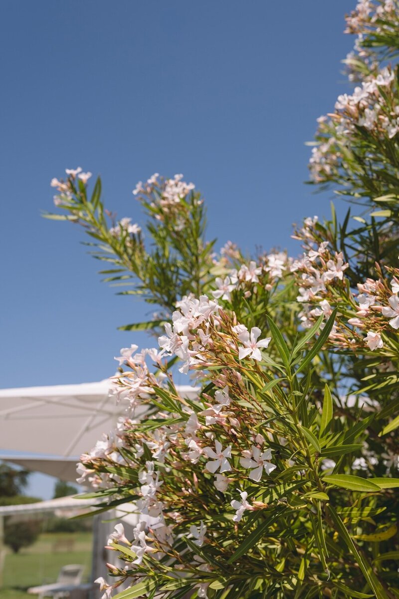 photographe-vendee-hotel-corporate-4