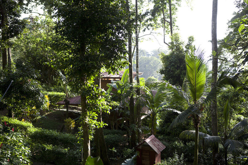 Samasati Property