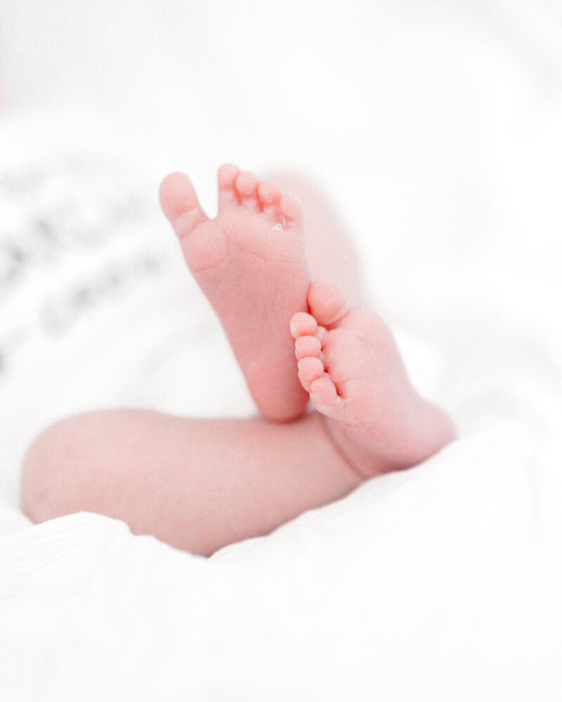 South Alabama Newborn Photography Packages
