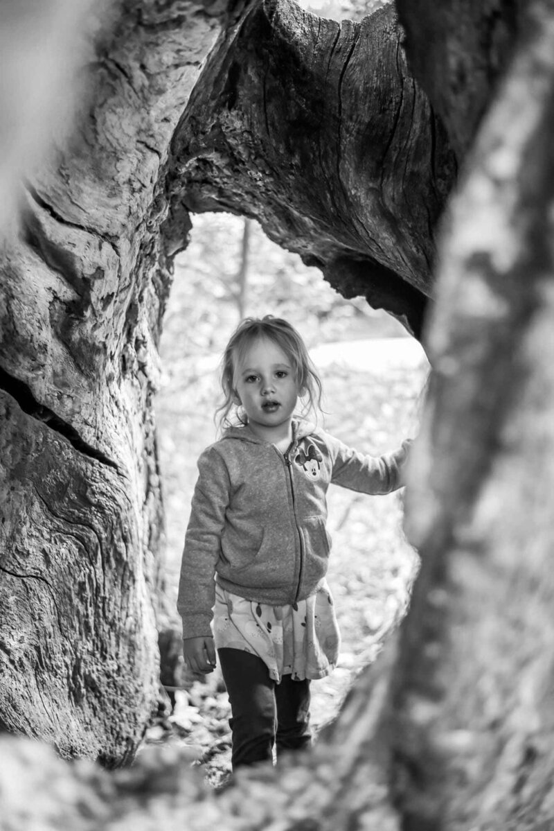 Little girl looking through a tree