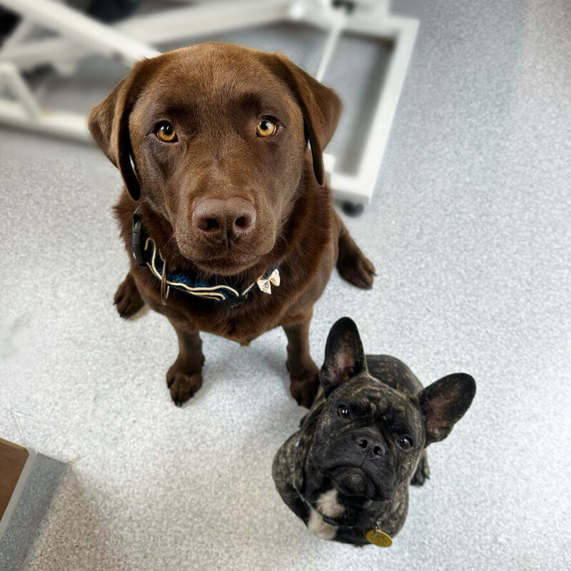 70800C5B-F0BD-47F8-B33C-3A6A0CC08993_1_105_c