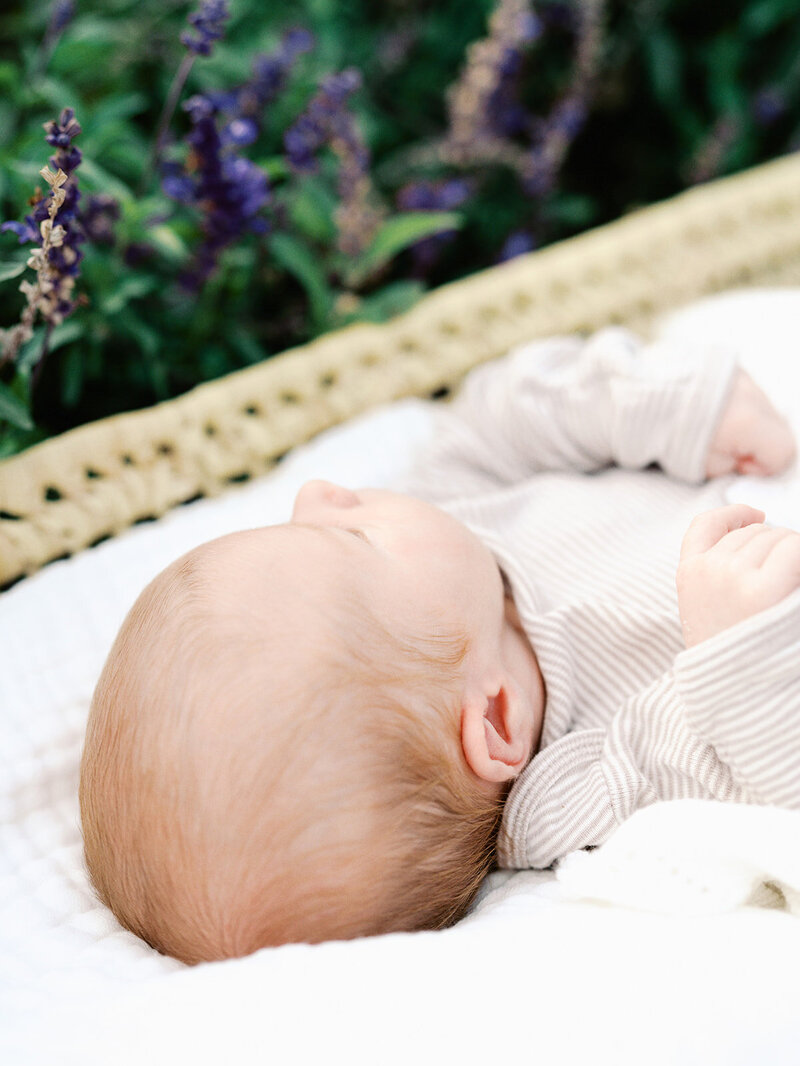 A baby's head of hair as the baby lays in a basket by Katie Stansfield Photography, a Richmond newborn photographer.