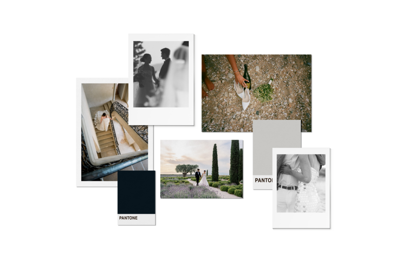 branding and website design
