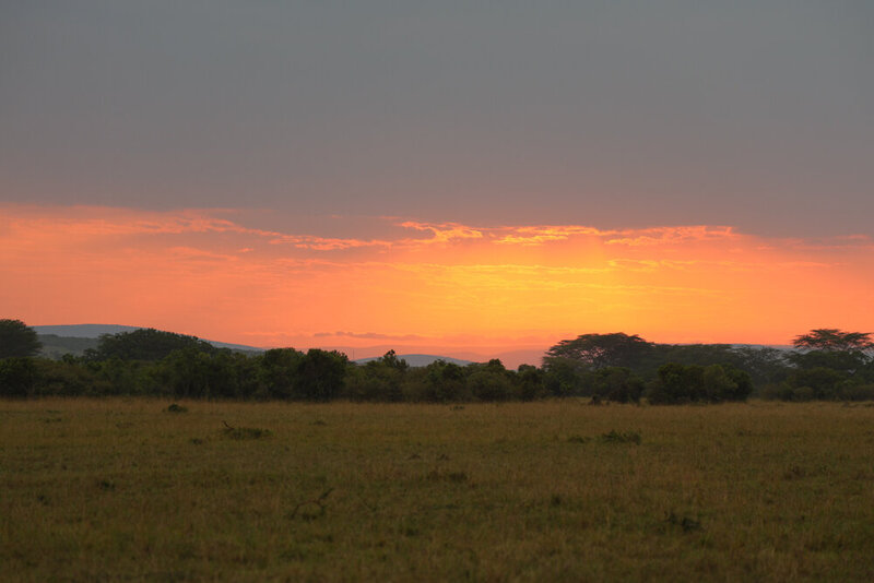 safariedited-130