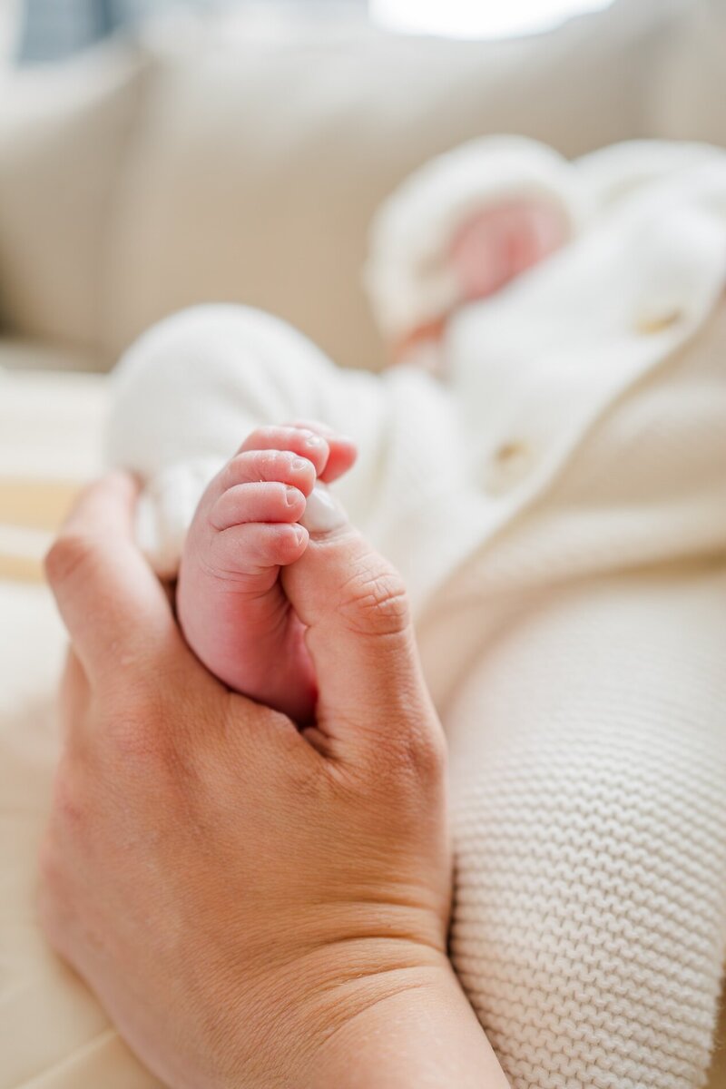 eau claire in home newborn session