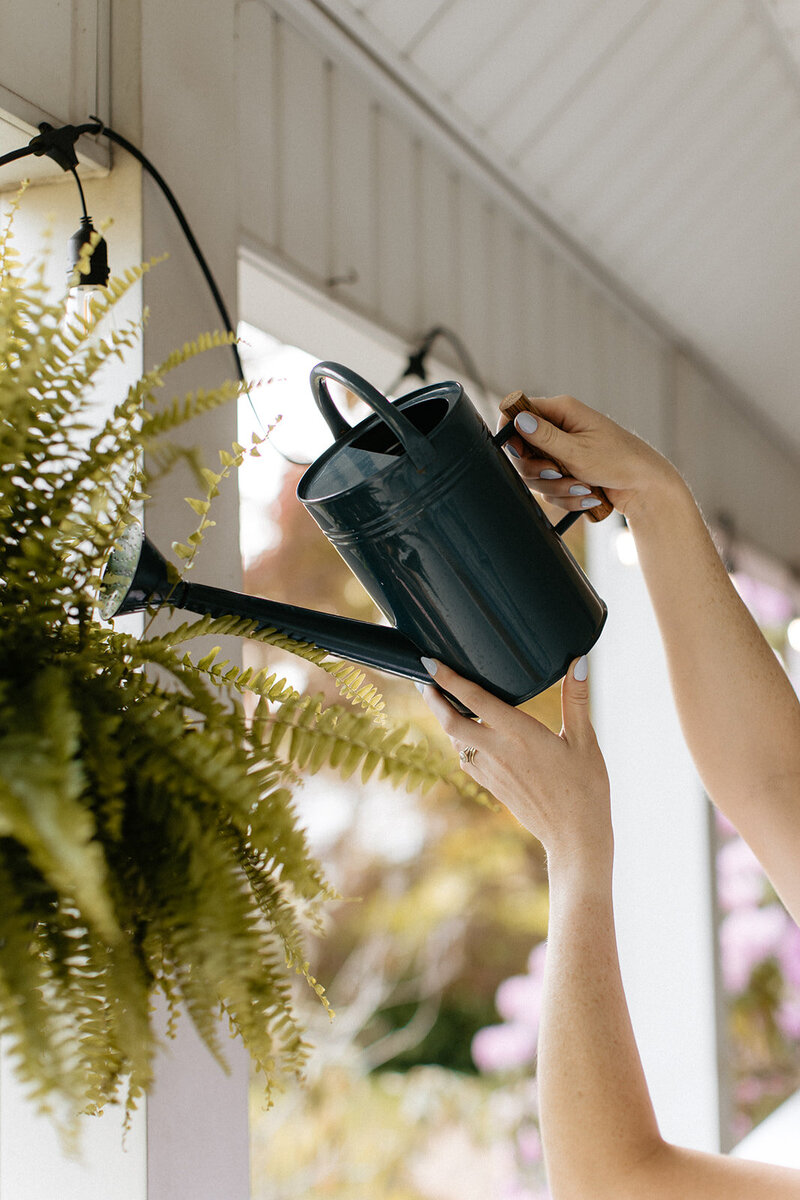 Hardins_Brand_Session_5.24.23-114