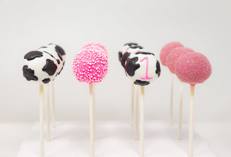 bakery - cakes - cake pops -north dakota -254