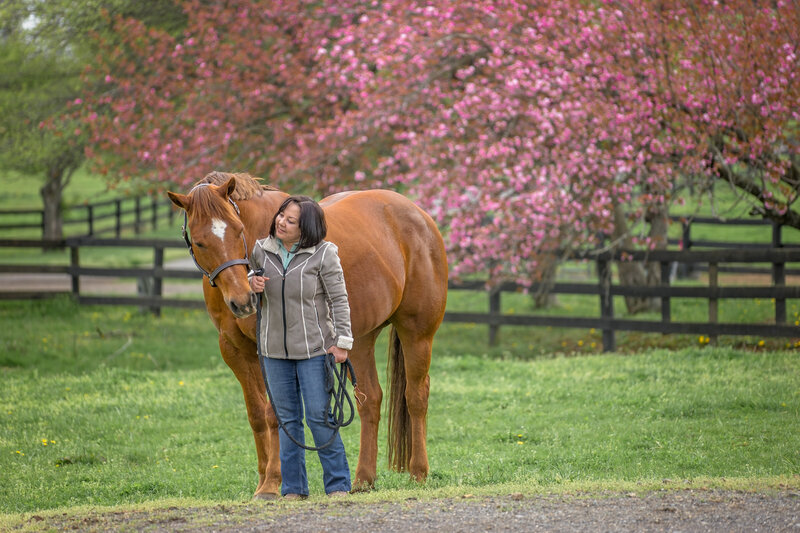 Equestrian-81
