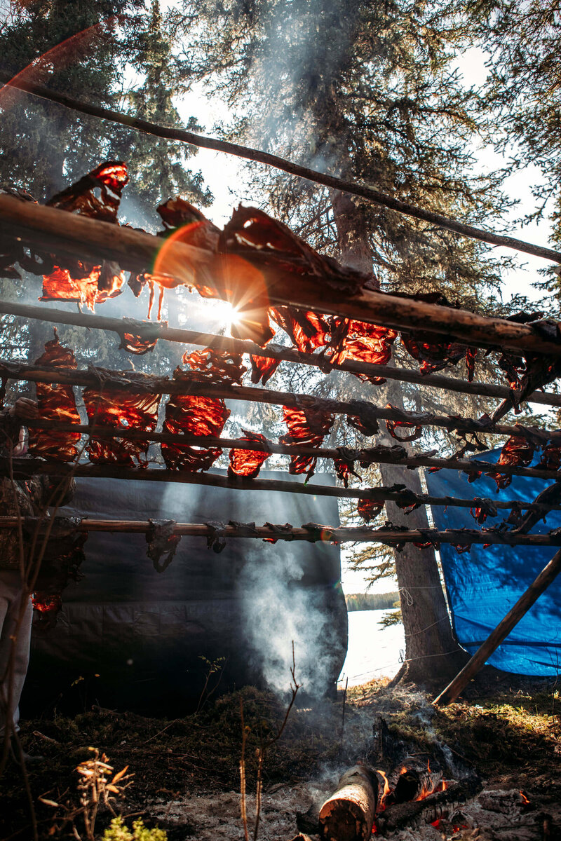 wild meat dries on a rack over a fire