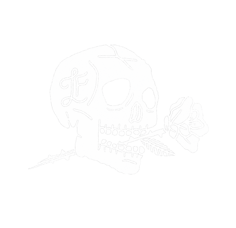 skull-illustration
