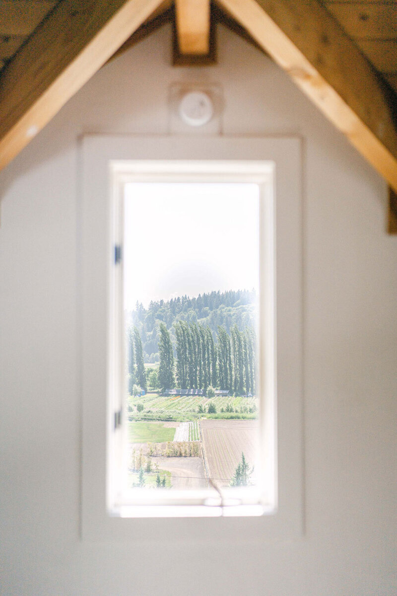Outside view from the inside