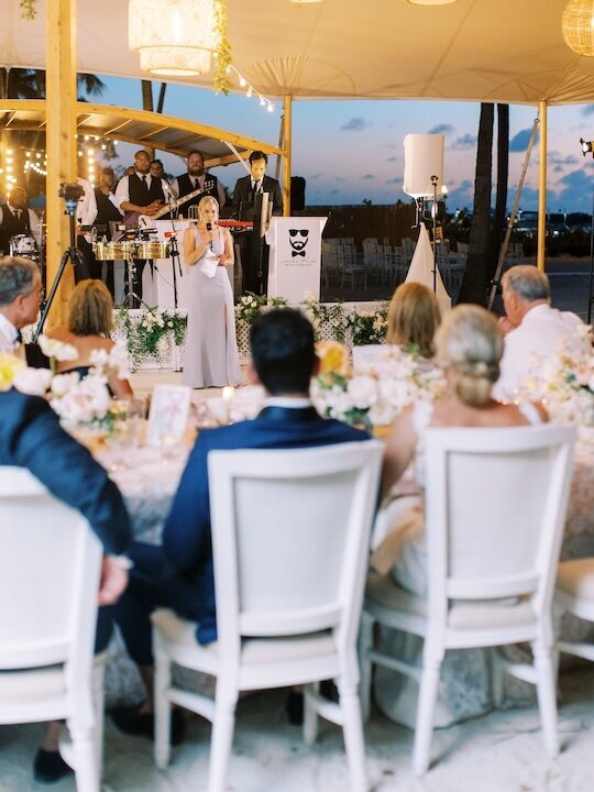 Giving a wedding speech