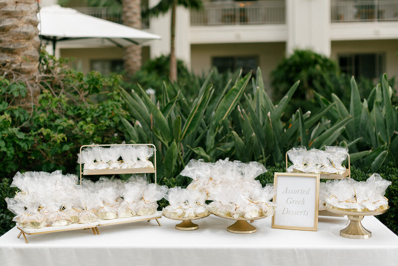 roula and wilder 09152024_erica streelman photographer-1005