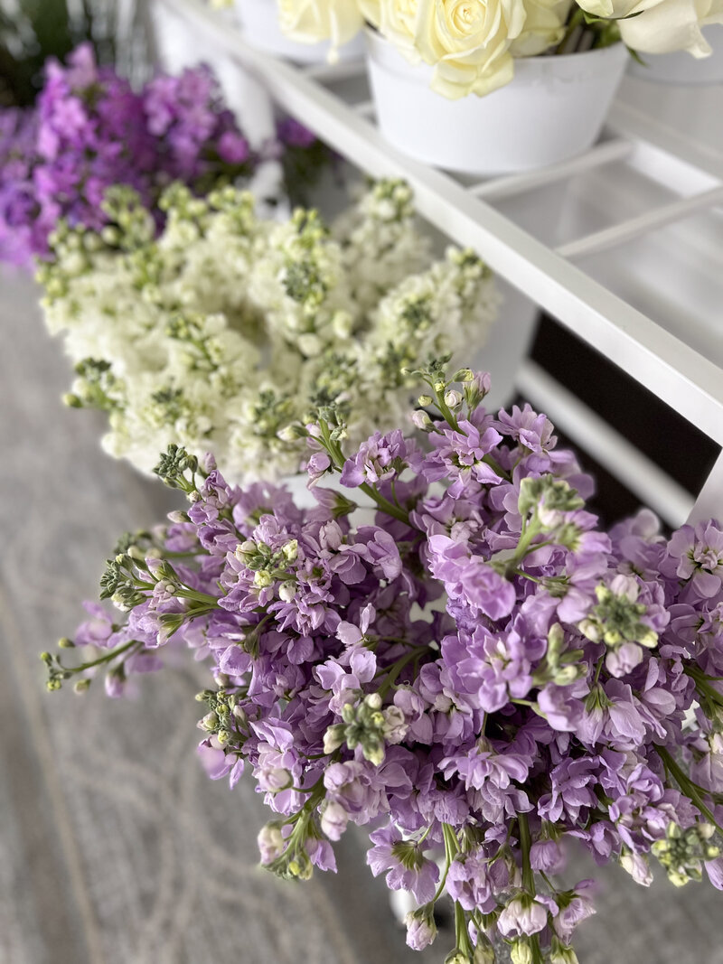 Fleurish-BloomBar | 07.27.25-014